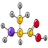 Amino Acid